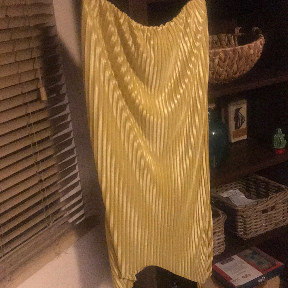Zara Skirt